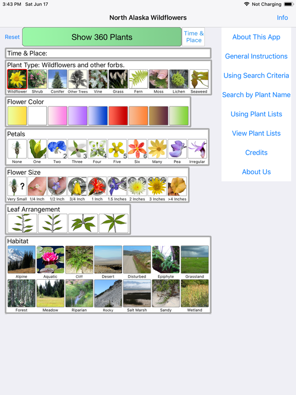 Alaska Wildflowers North