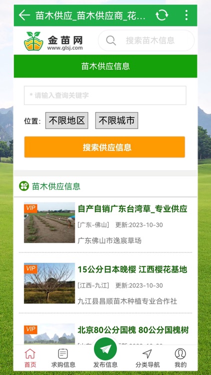金苗网