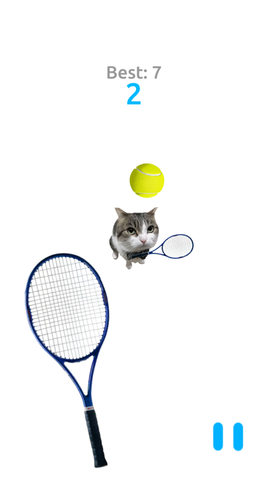 Cat Tennis Battle Screenshot
