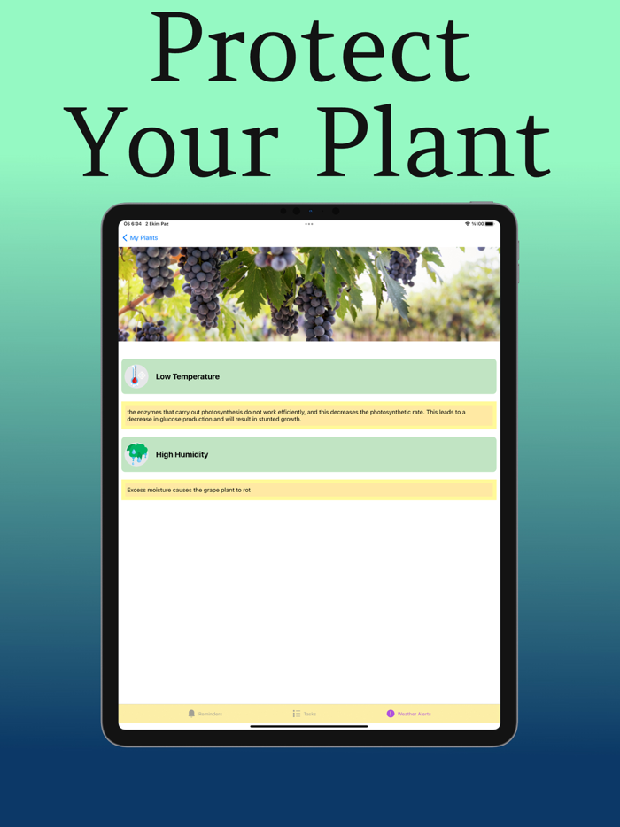 Plant Care Guide and Tips