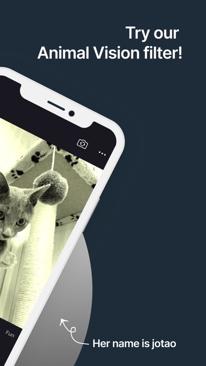 EyeYo - Fun filters here!