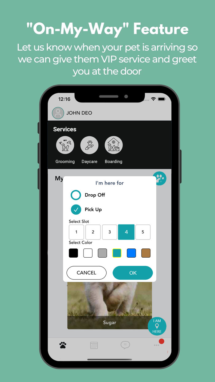 Furs A Flyin-Mary-Kate Murray