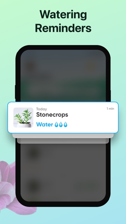 Plant, Flower Identifier&Care screenshot-4