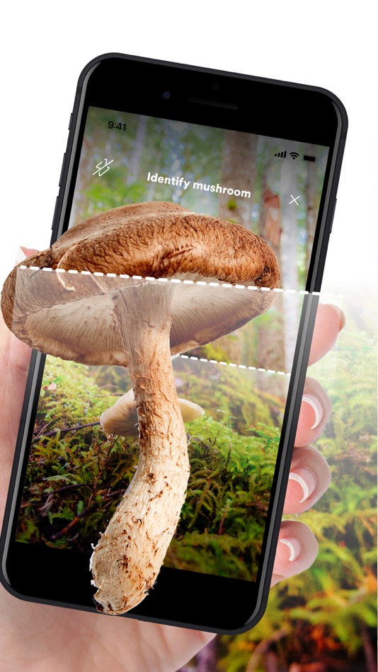 #2. Mushroom ID: AI Identification (iOS) 由: Alicja Nowicka