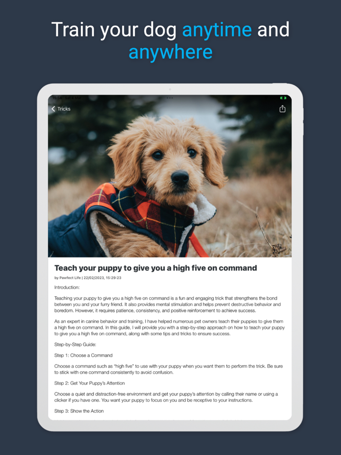 Pawfect Life - Puppy Training