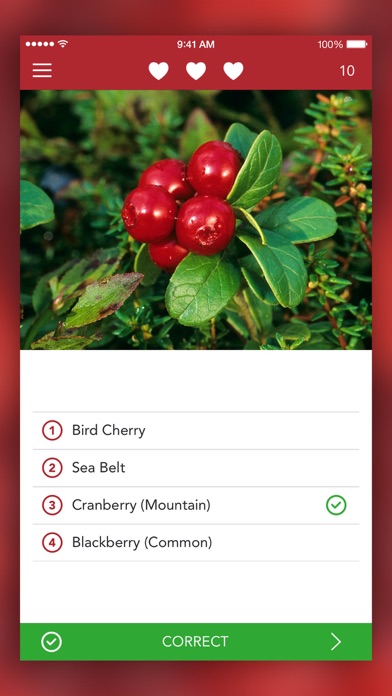 Wild Berries and Herbs 2 PRO Screenshot