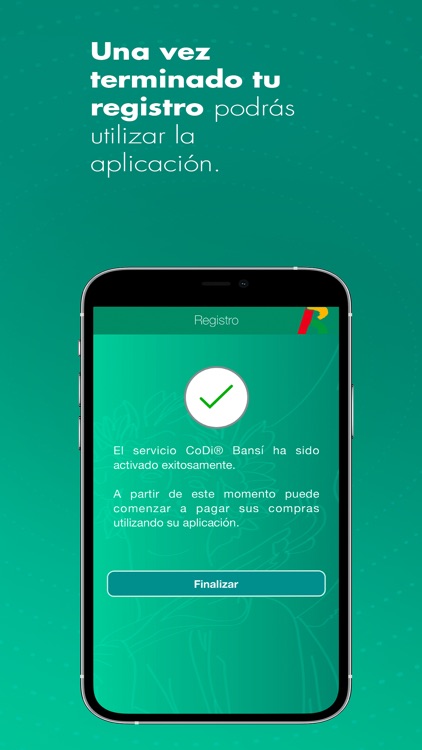 CoDi® Bansi screenshot-4