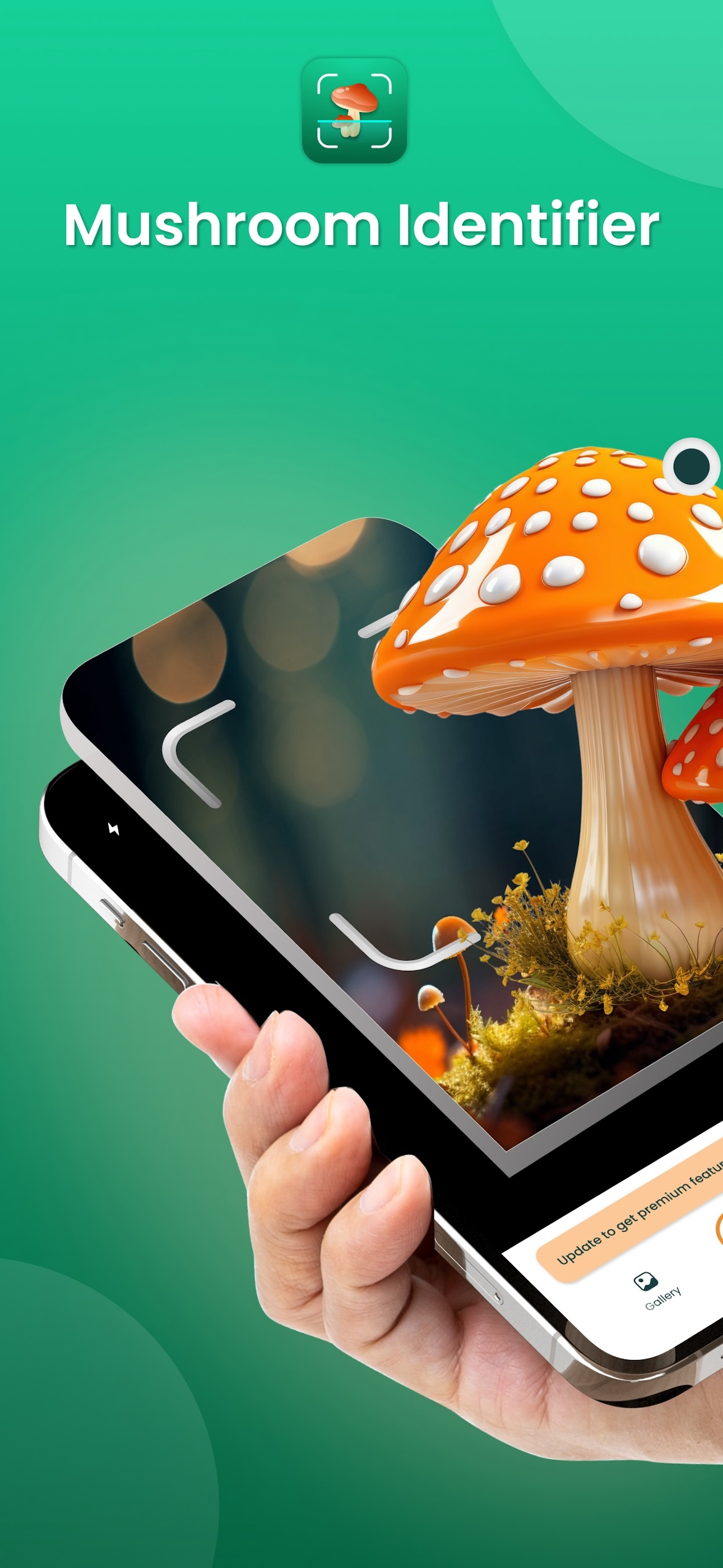 FungiSnap: Mushroom Identifier