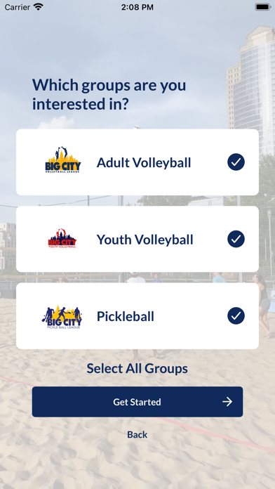 Big City Volleyball Screenshot