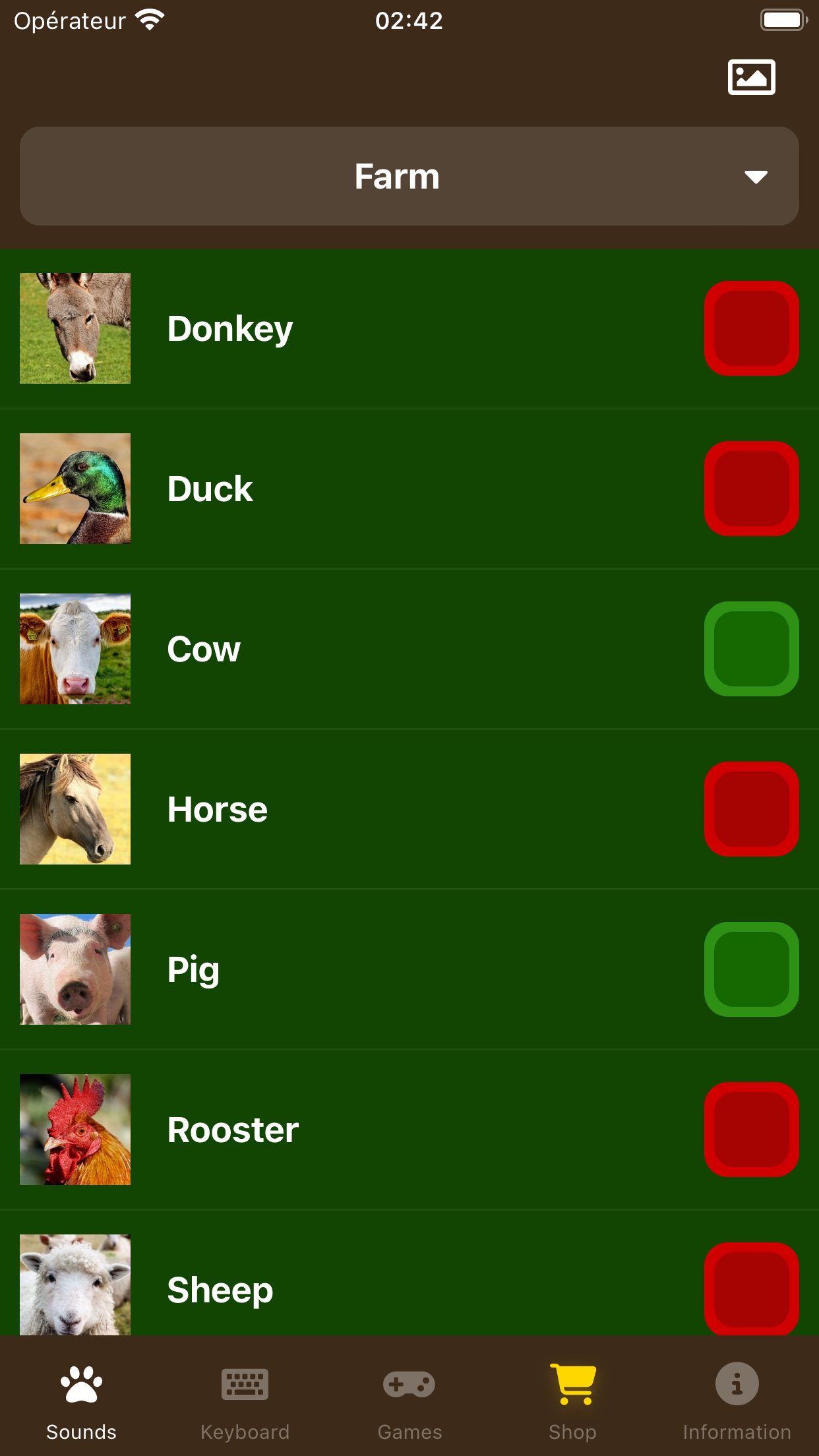 Animal Sounds!