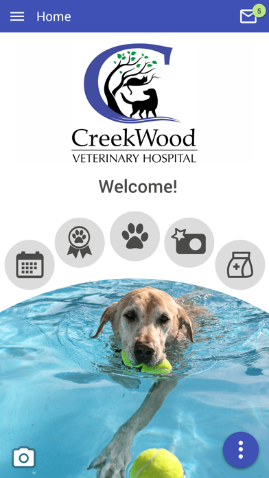 CreekWood Vet Screenshot