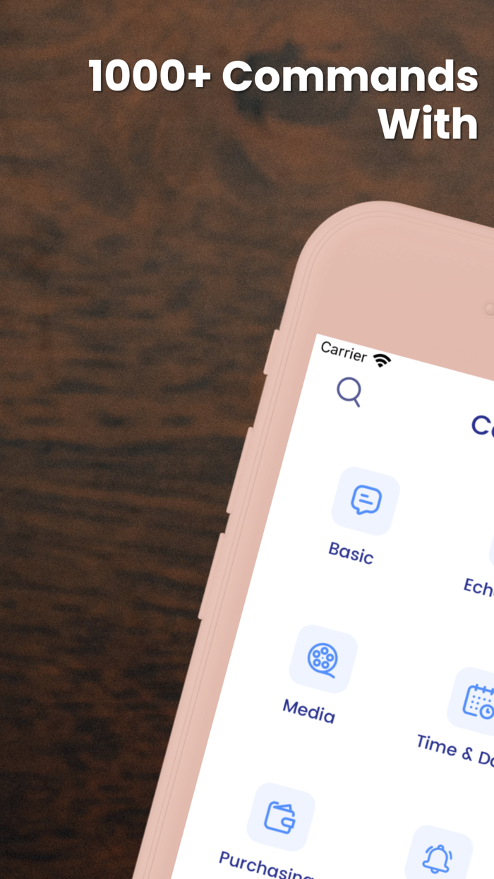 Setup and voice for Alexa app