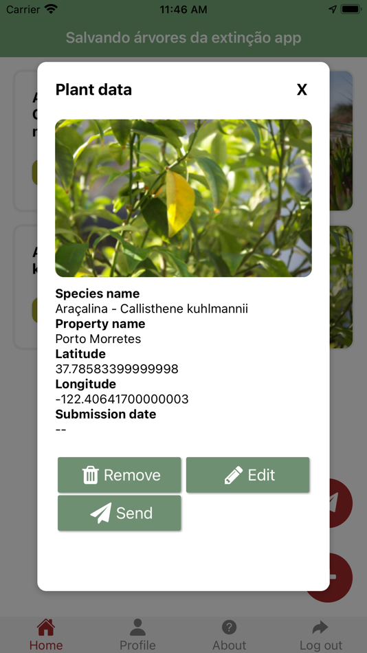 #2. The Un-Endangered Forest (iOS) 由: Novo Fogo