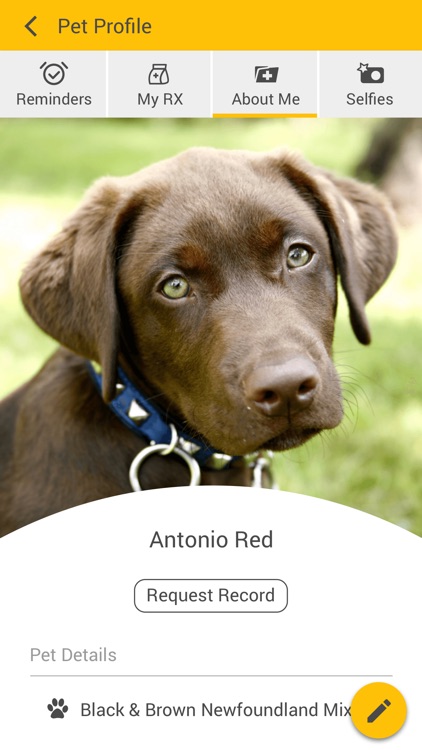 Rothman Animal Hospital