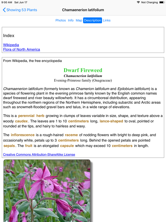 Alaska Wildflowers SE iPad screenshot