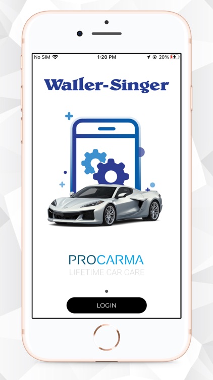 WALLER SINGER AUTO CARE