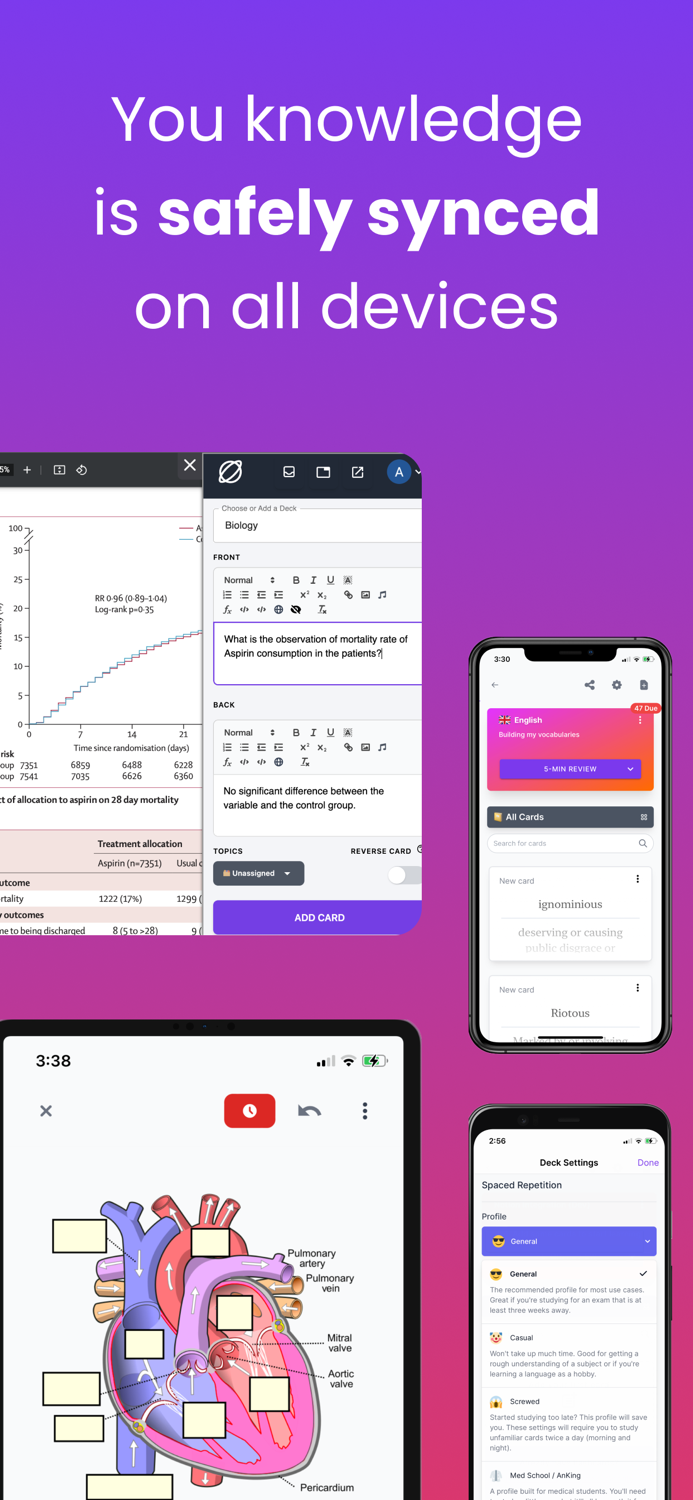 Zorbi - Spaced Repetition