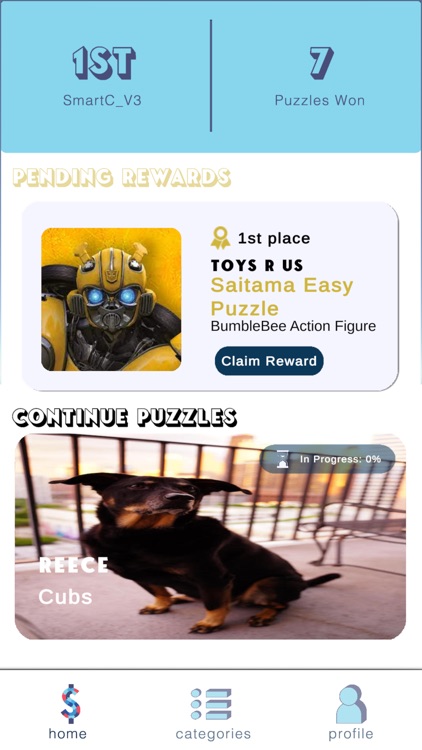 Paid2Puzzle screenshot-5