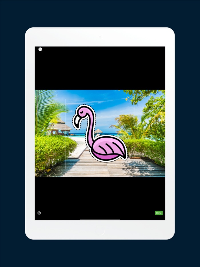 FxLines for social posts