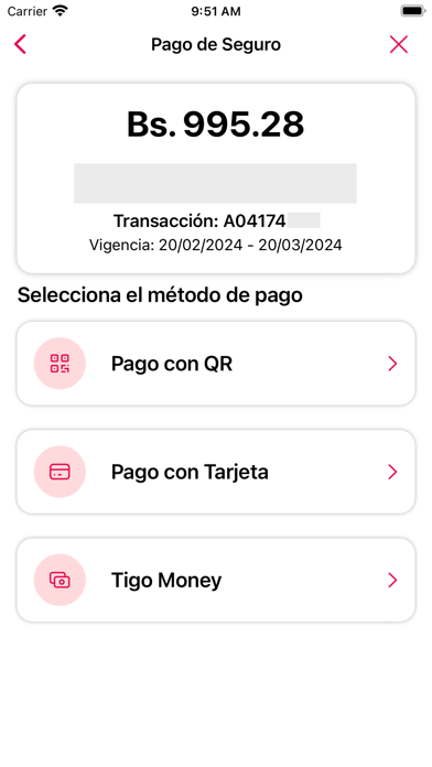 BISA Seguros Screenshot