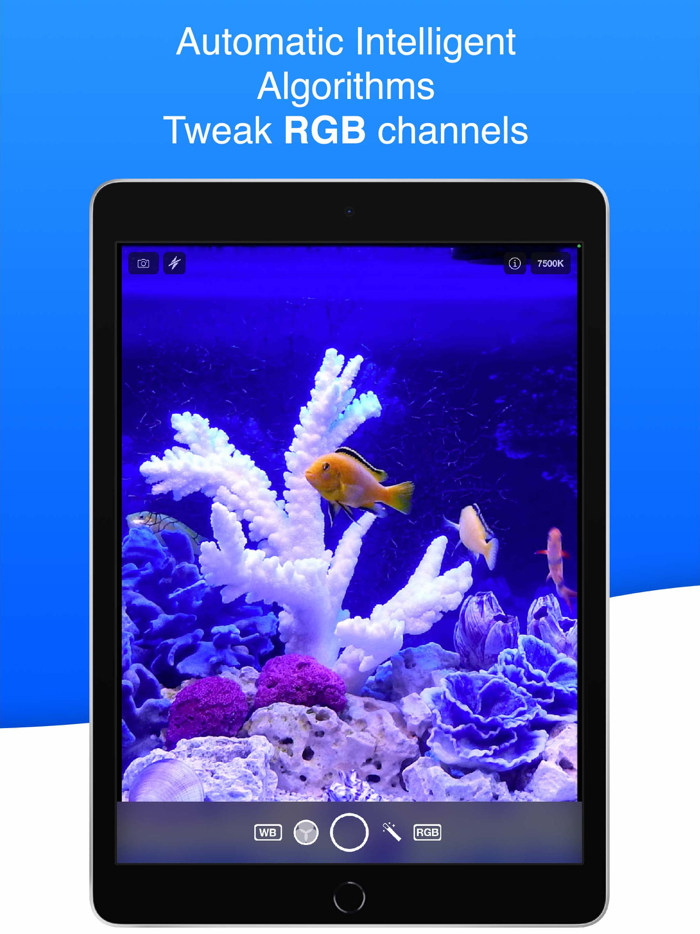 Underwater and Aquarium Camera