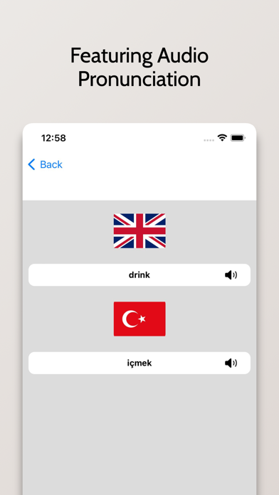 Turkish/English Dictionary Screenshot