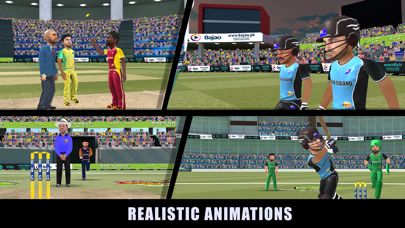 RVG Cricket Game: Cricket Lite Screenshot