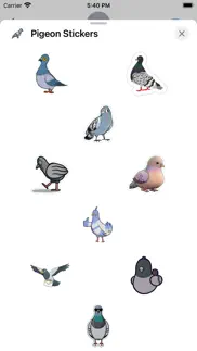 pigeon stickers iphone screenshot 1