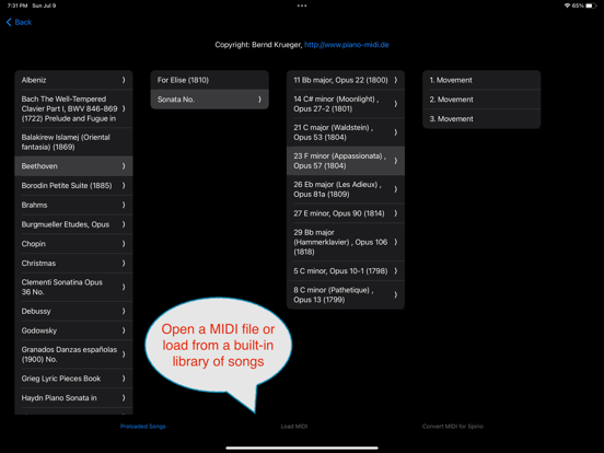 Falling Notes Piano Trainer iPad screenshot 2 - Music app