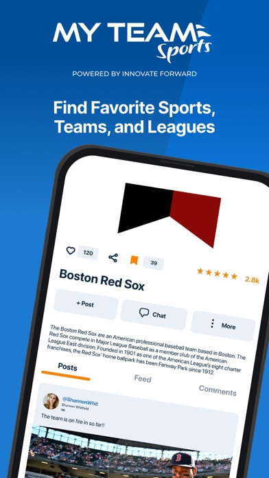 My Team Sports! Screenshot
