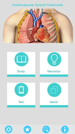 Game screenshot Circulatory System Flashcards mod apk