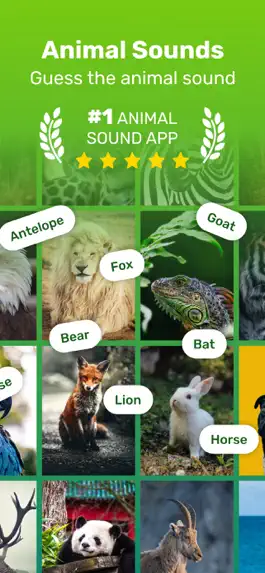 Game screenshot Guess Animal Sounds mod apk