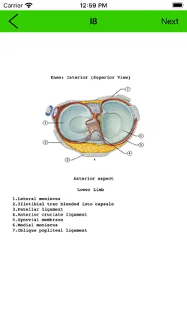 Game screenshot Anatomy Flashcard apk