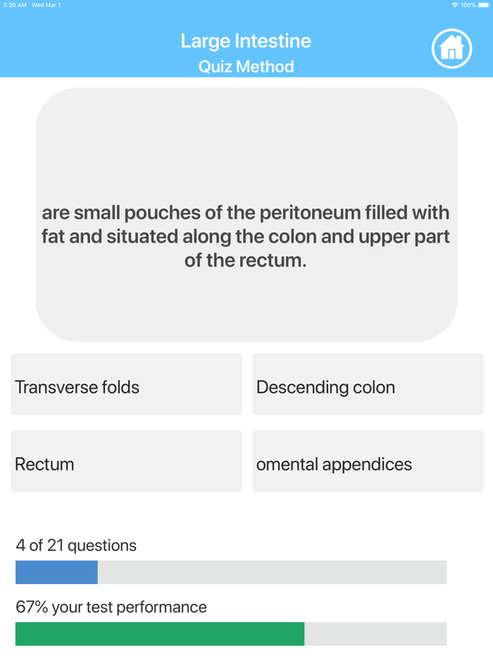 Digestive System Study Cards