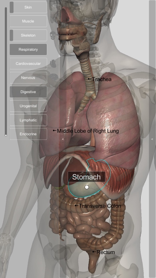 #2. 3D Human Anatomy Introduction (iOS) 由: biosphera.org