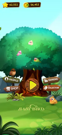 Game screenshot Bird Sorting Mania mod apk
