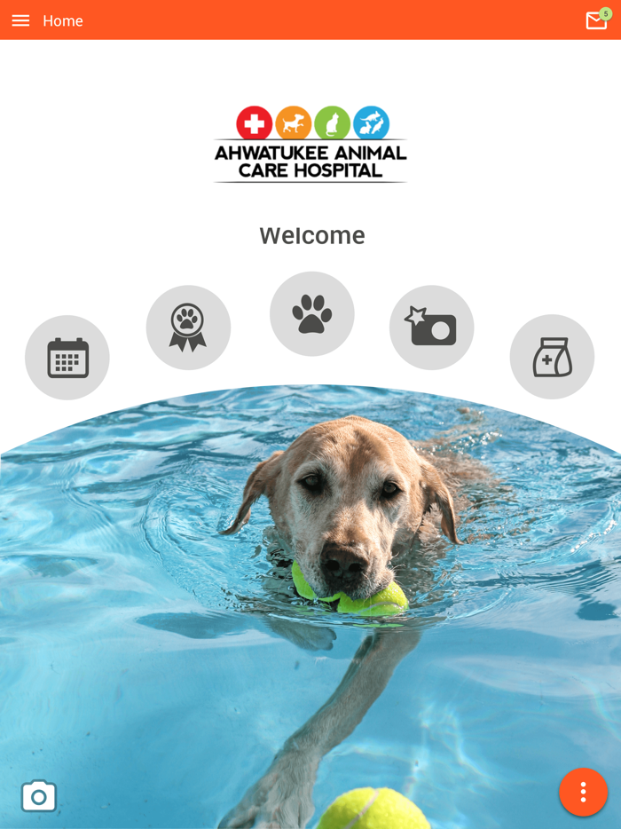 Ahwatukee Animal Care
