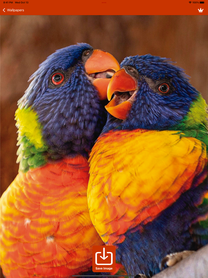 Wallpapers HD - 4K Aesthetic