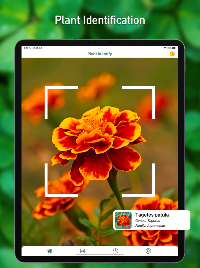Fish Identifier ID Fish Verify
