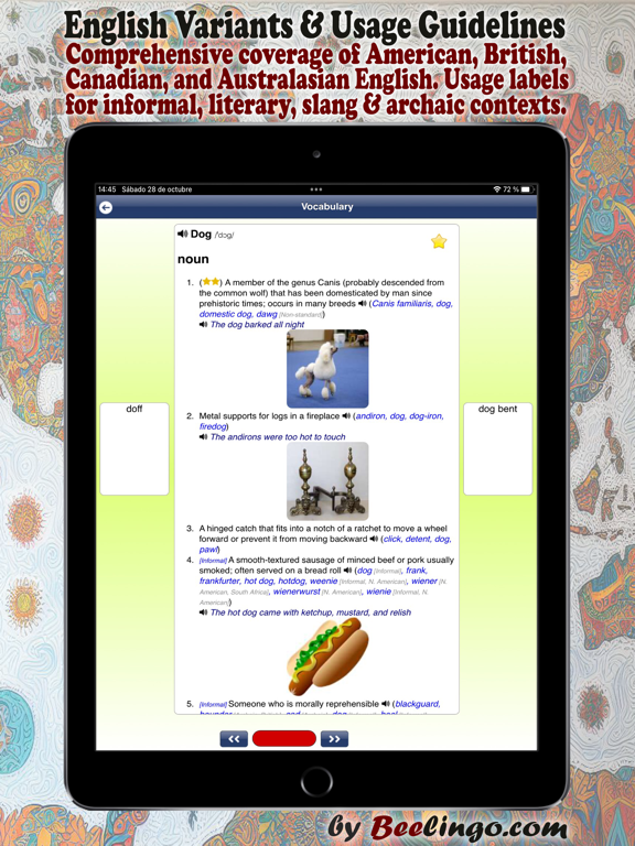Screenshot #6 pour English Dictionary - Offline