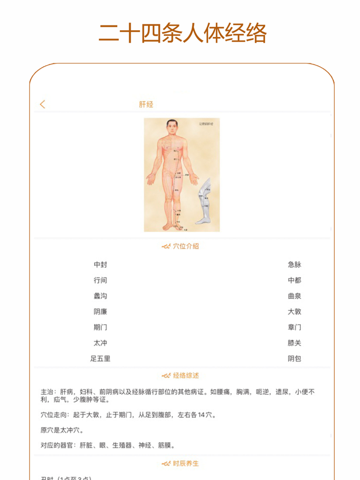 经络养生-人体穴位大全