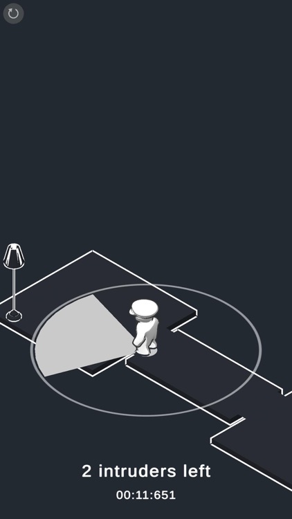 Flashlight Intrusion