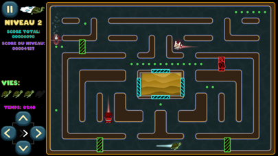 Screenshot #2 pour Labyrinthe de la Destinée