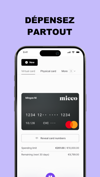 Micco Screenshot