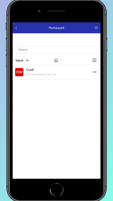 American School Screenshot