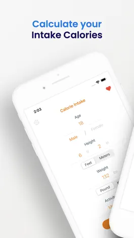 Game screenshot Calories Intake Calculator mod apk