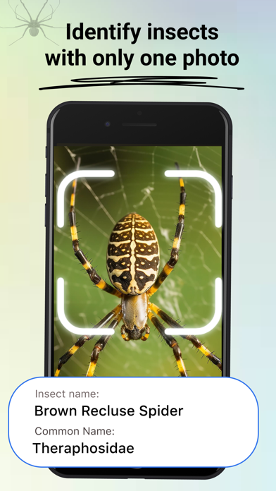Insect Bug Identifier: Spider Screenshot