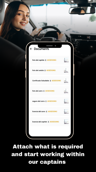 Rayo Driver Screenshot