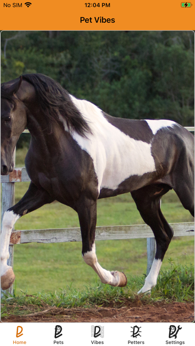 Screenshot #3 pour PetVibes