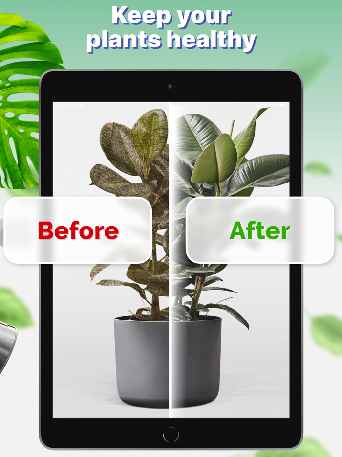 Plant Identifier and Finder App